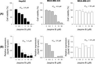 Sphingolipid modulation and anti-tumor activity of Jaspine B in HepG2 bearing mice