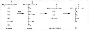 A Comprehensive Study on the Disinfection Performance of Four Representative Atmospheric Pressure Plasma Sources