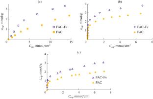 Adsorption of Aniline Derivatives on Modified Activated Carbon