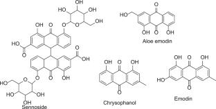 Nutraceuticals interventions in the management of sickle cell anemia: bridging nutritional support and therapeutic strategies