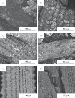 On the Application of Organic–Inorganic Composite Materials Based on Nickel(II) and Cobalt(II) Ferrites As Catalysts for the Oxidative Decomposition of Organic Dyes