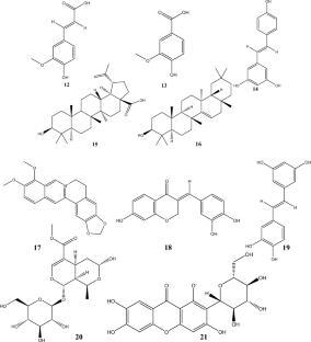 Targeting NF-κB in diabetic nephropathy: exploring the therapeutic potential of phytoconstituents