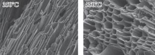 Structural Characterization of Biotar and Biochar Products Obtained by Carbonization of Rhododendron ponticum L.