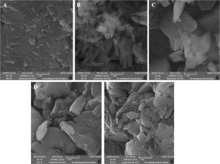 Synthesis and Characterization of Water-Soluble Polypyrrole-Sulfonated Naphthalene Formaldehyde Composite as a Selective Turn-off Chemosensor for Pb2+, Antimicrobial Activity, and Molecular Docking Studies