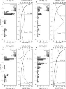 Context-dependent controls of periphyton across the littoral-benthic habitat of deep, clear lakes
