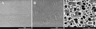 Preparation and Characterization of Single-Step Sodium Nitrate-Calcium Chloride Crosslinked Polyvinyl Alcohol-Alginate Sheets for Quorum Quenching Application in Membrane Bioreactors