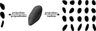 Quantitative correlation analysis of 2D and 3D particle morphology of gravelly soils
