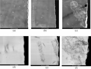 High Performance Biodegradable Polymer Nanocomposites Based on Poly(3-Hydroxybutyrate-Co-3-Hydroxyvalerate) (PHBV) and Graphene Oxide (GO)