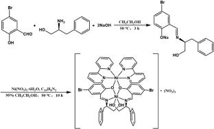 Novel L-type chiral metal(II) complexes inhibit breast cancer growth through synergistic effects of anti-angiogenesis, anti-inflammatory, apoptosis induction and cuproptosis