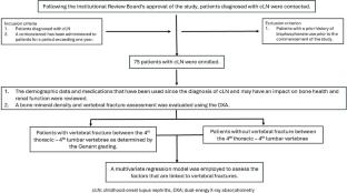 Osteoporotic vertebral compression fracture in patients with childhood-onset lupus nephritis: prevalence and risk factors
