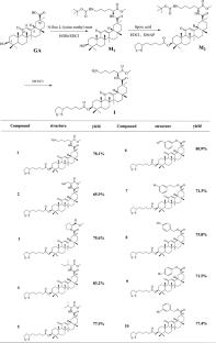 Anti-cancer activity of the glycyrrhetinic acid derivatives with an inhibitory inflammatory microenvironment