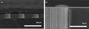 Fabrication of Anodic Aluminum Oxide and Cu Electrode and Improvement of Its Mechanical and Electrical Properties