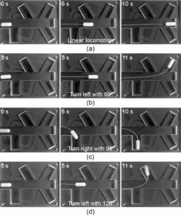 Development of a Magnetically-Actuated Capsule Robot for Biopsy Sampling Using SMA