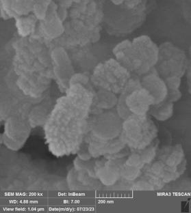 Cobalt (II) Schiff base complex immobilized on cobalt ferrite magnetite nanoparticles as a reusable catalyst for the preparation of triazoloquinazolinones