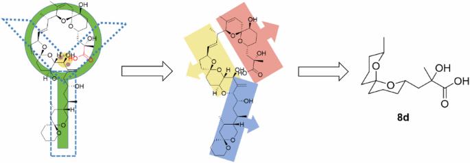 Design, synthesis, and affinity evaluations of PP2A-targeting spiroketal derivatives based on structure-activity relationship studies of marine toxin okadaic acid fragments