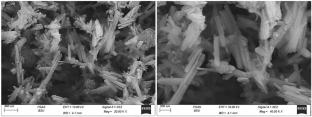 Selenium nanoparticles mitigate chlorpyrifos-induced nephrotoxicity by modulating oxidative stress, inflammation, and the SIRT1/Nrf2/HO-1 signaling pathway