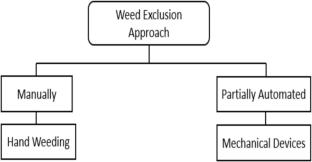 3SW-Net: A Feature Fusion Network for Semantic Weed Detection in Precision Agriculture