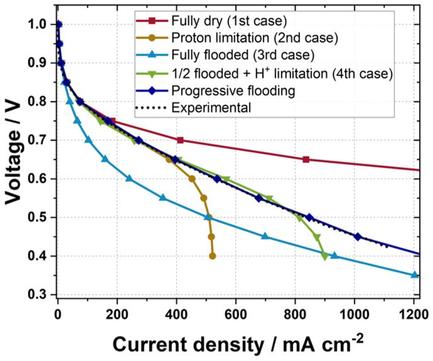 Understanding the Operation of a Gas Diffusion Electrode Setup for the Oxygen Reduction Reaction: Experiment versus 3D Multiphysics Modeling