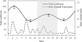 Biocementation for beach erosion control using seawater extracted soybean enzyme