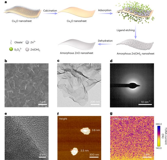 Organic solar cells with 21% efficiency enabled by a hybrid interfacial layer with dual-component synergy