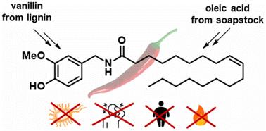 Biocatalytic synthesis of the non-pungent capsaicinoid olvanil from agri-food waste