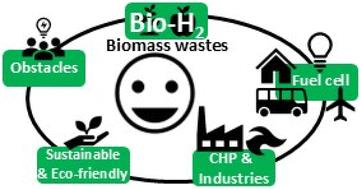 Transforming biomass into sustainable biohydrogen: an in-depth analysis