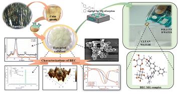 Sustainable removal of malachite green using cellulose extracted from waste bamboo culm sheath