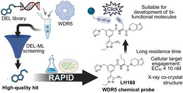 Discovery of an exquisitely selective WDR5 chemical probe accelerated by a high-quality DEL–ML Hit†