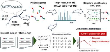 Comonomer distribution analysis of poly(3-hydroxybutyrate-co-3-hydroxyhexanoate)s using high-resolution MALDI-TOF mass spectrometry†