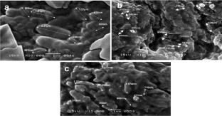 Treatment of synthetic textile sewage containing anthraquinone and azo based disperse dyes using bacterial consortium