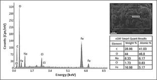 Green synthesis of iron oxide nanoparticles using date seed extracts for biomedical applications