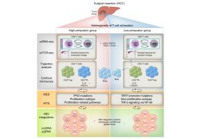 Landscape of T-cell exhaustion heterogeneity and HBV integration in virus-related HCC revealed by whole-exome, transcriptome, and single-cell sequencing