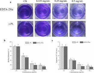 Control mechanisms of ε-polylysine and EDTA against Pectobacterium aroidearum isolated from rotted pickled red pepper fruits