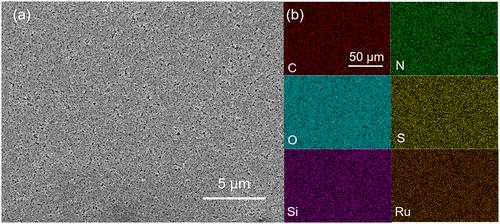 Silatrane Functional Rubds-Based Catalyst for Stabilized Heterogenized Water Oxidation