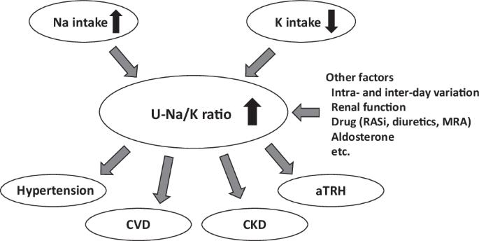 Urinary sodium-to-potassium ratio as a marker for apparent treatment-resistant hypertension in patients with chronic kidney disease
