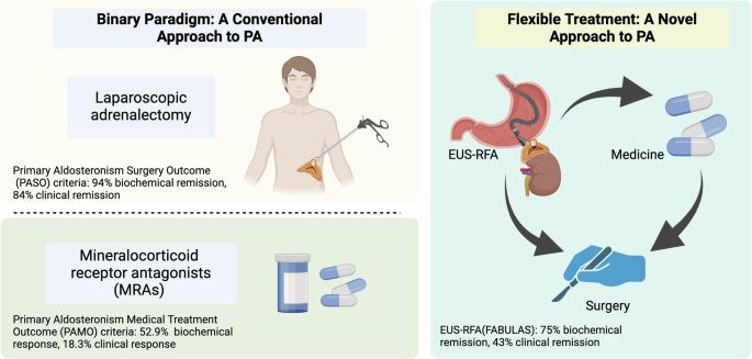 From binary to gradient: EUS-RFA redefines primary aldosteronism therapy