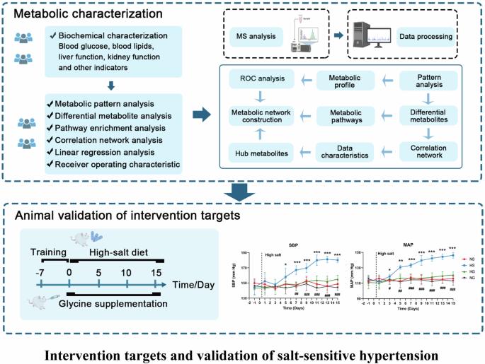 Human plasma metabolomics reveals metabolic targets for intervention in salt-sensitive hypertension