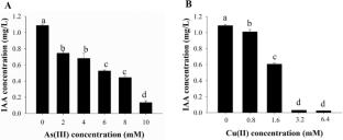 Isolation and pan-genome analysis of Acinetobacter junii SC22, a heavy metal(loid)s resistant and plant growth promoting bacterium, from the Zijin Gold and Copper mine