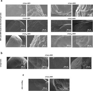 Elaboration of novel biocomposite hydrogel polymers made of alginate and sepiolite and endowed with enhanced properties
