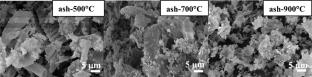 Waste teak leaf litter ash as a mild solid acid-catalyzed esterification for free fatty acid reduction from WCO in biodiesel pretreatment production