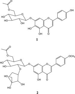 Flavonoid glycosides of Stachys kurdica Boiss. & Hohen. against human lung cancer cells upon enzymatic docking paradigm