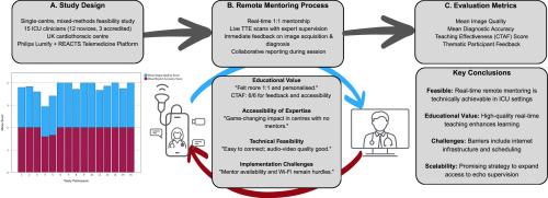REMOTE Study: Feasibility and Effectiveness of Telemedicine-based Echocardiography Mentoring in Intensive Care