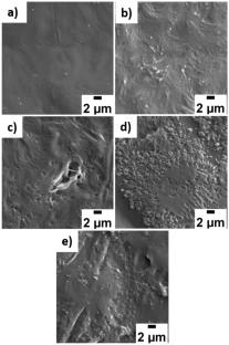 Tunable physicochemical and biocompatibility properties of PCL/HAp/BN composite films through γ-irradiation