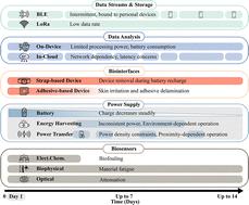 Continuous biosignal acquisition beyond the limit of epidermal turnover†