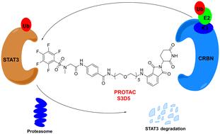 Discovery of a potent and selective PROTAC degrader for STAT3†