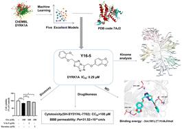 Computer-aided discovery of triazolothiadiazoles as DYRK1A-targeted neuroprotective agents†