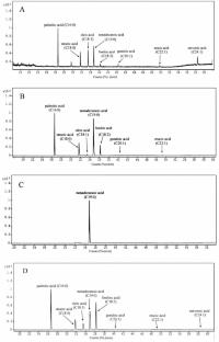 Determination of seven fatty acids in plasma of rats after oral administration of Xanthoceras sorbifolia bunge oil by GC-MS and pharmacokinetic study