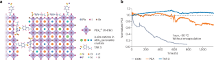 Durable passivation for perovskites