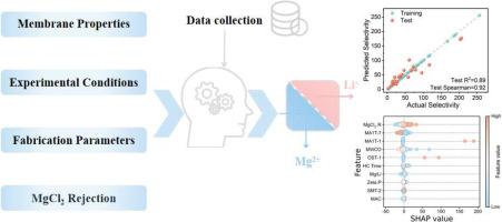 Predicting and understanding the performance of polyamide nanofiltration membrane for Li/Mg selective separation based on machine learning