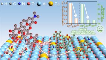 Porous Ca-doped Al2O3 with abundant basic sites for enhanced hydrolysis of fermentative antibiotics